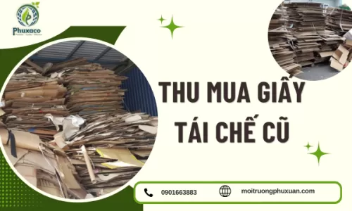 Thu Mua Giấy Tái Chế Cũ