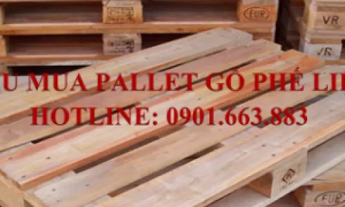 THU MUA PALLET GỖ PHẾ LIỆU GIÁ CAO TẠI BÌNH PHƯỚC