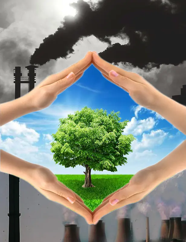 Câu chuyện khởi nghiệp của Môi Trường Phú Xuân