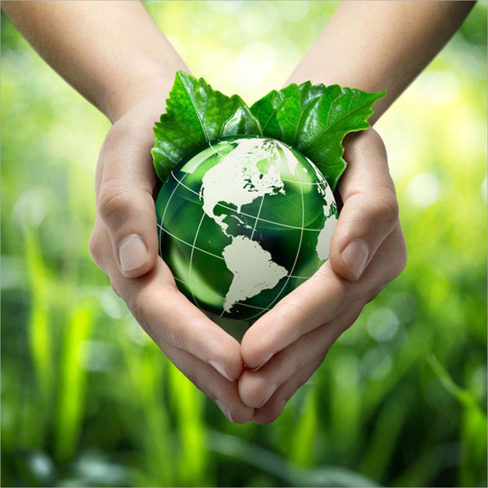 Câu chuyện khởi nghiệp của Môi Trường Phú Xuân