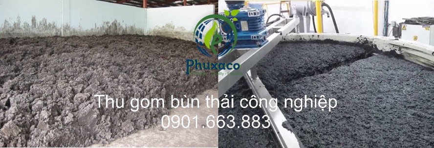 CÔNG TY CỔ PHẦN MÔI TRƯỜNG PHÚ XUÂN