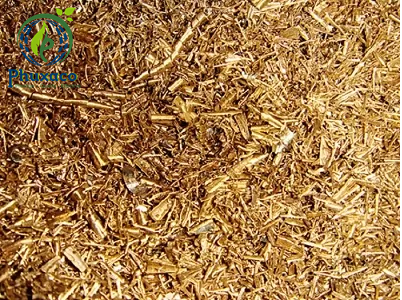 CÔNG TY CỔ PHẦN MÔI TRƯỜNG PHÚ XUÂN