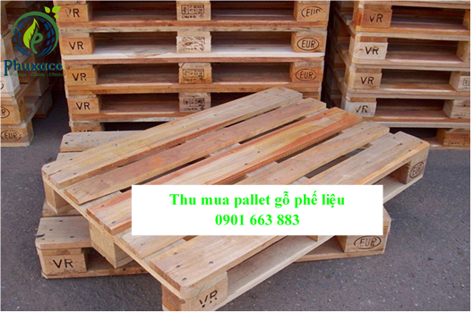 THU MUA PALLET GỖ PHẾ LIỆU GIÁ CAO TẠI BÌNH DƯƠNG