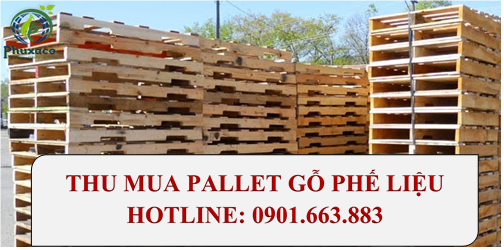 THU MUA PALLET GỖ PHẾ LIỆU GIÁ CAO TẠI BÌNH DƯƠNG