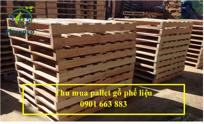 THU MUA PALLET GỖ PHẾ LIỆU GIÁ CAO TẠI BÌNH PHƯỚC