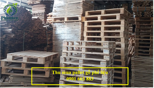 THU MUA PALLET GỖ PHẾ LIỆU GIÁ CAO TẠI BÌNH PHƯỚC