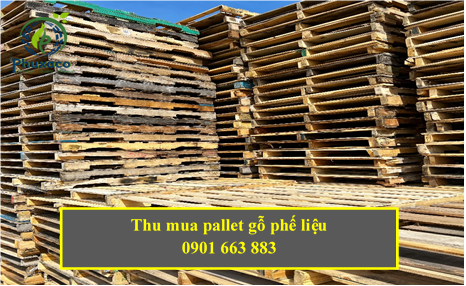 THU MUA PALLET GỖ PHẾ LIỆU GIÁ CAO TẠI BÌNH PHƯỚC